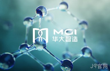 点击查看