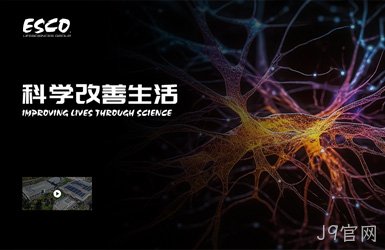 点击查看