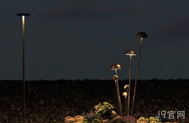 点击查看