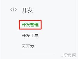 开发管理
