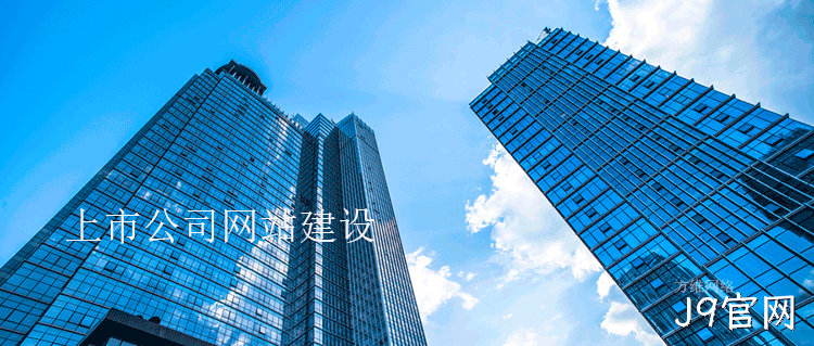 上市公司网站建设