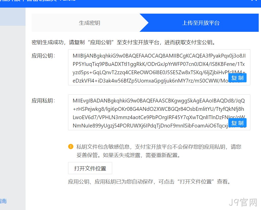 生成的应用公钥