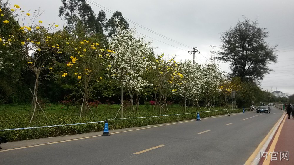 J9官网仙湖行