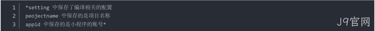 JSON 配置文件